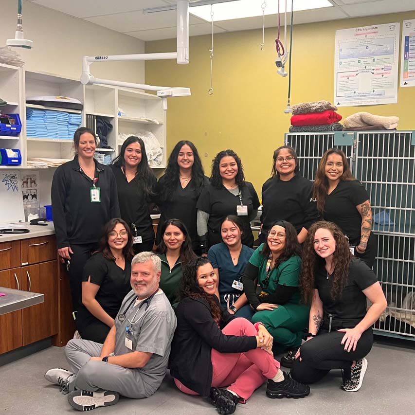 Group photo of the veterinary team, smiling together in a clinic setting, showcasing a diverse and collaborative team.