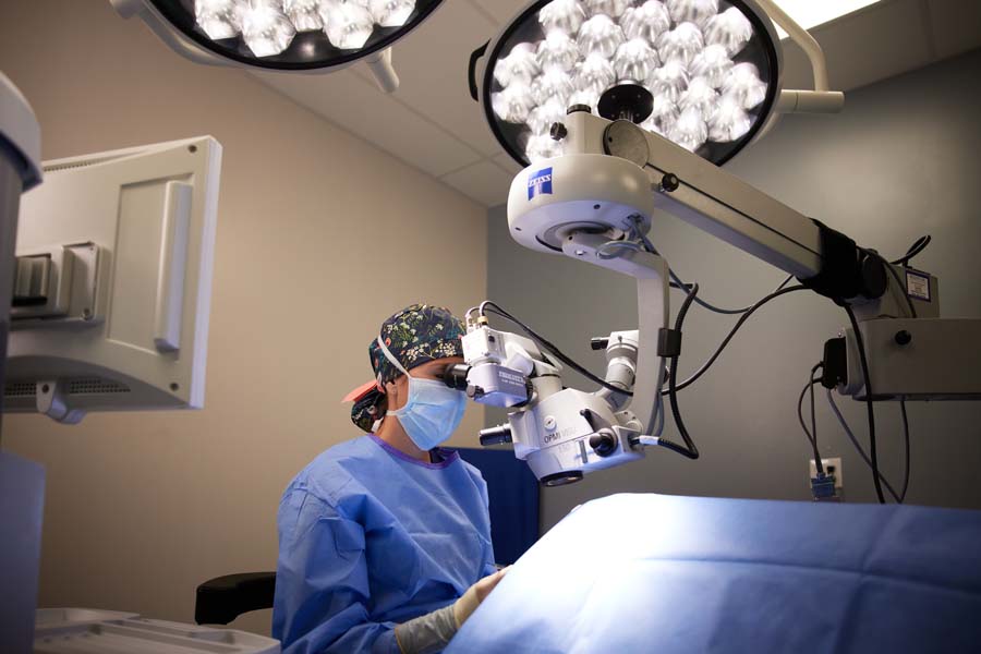 Veterinarian using a microscope during a surgical procedure, with bright operating lights overhead.