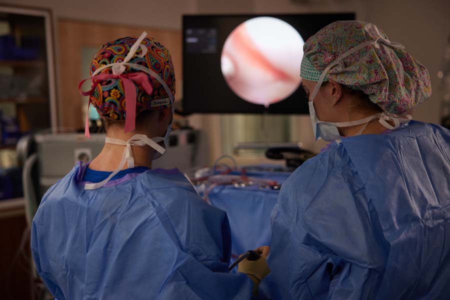 Two veterinary surgeons conducting a minimally invasive surgery, viewing the operation on a monitor.