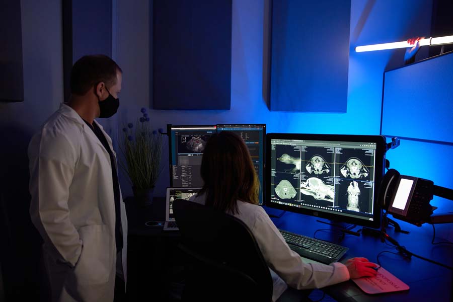 Veterinarians reviewing radiographic images of animals on multiple computer screens in a diagnostic room.