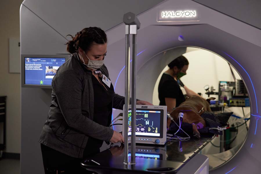 Veterinary technician monitoring a dog undergoing a CT scan procedure inside a Halcyon machine, ensuring vital signs are stable.